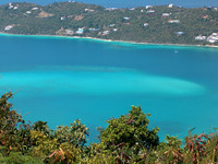 Caribbean