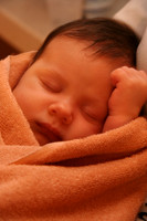 Noah - 6 weeks
